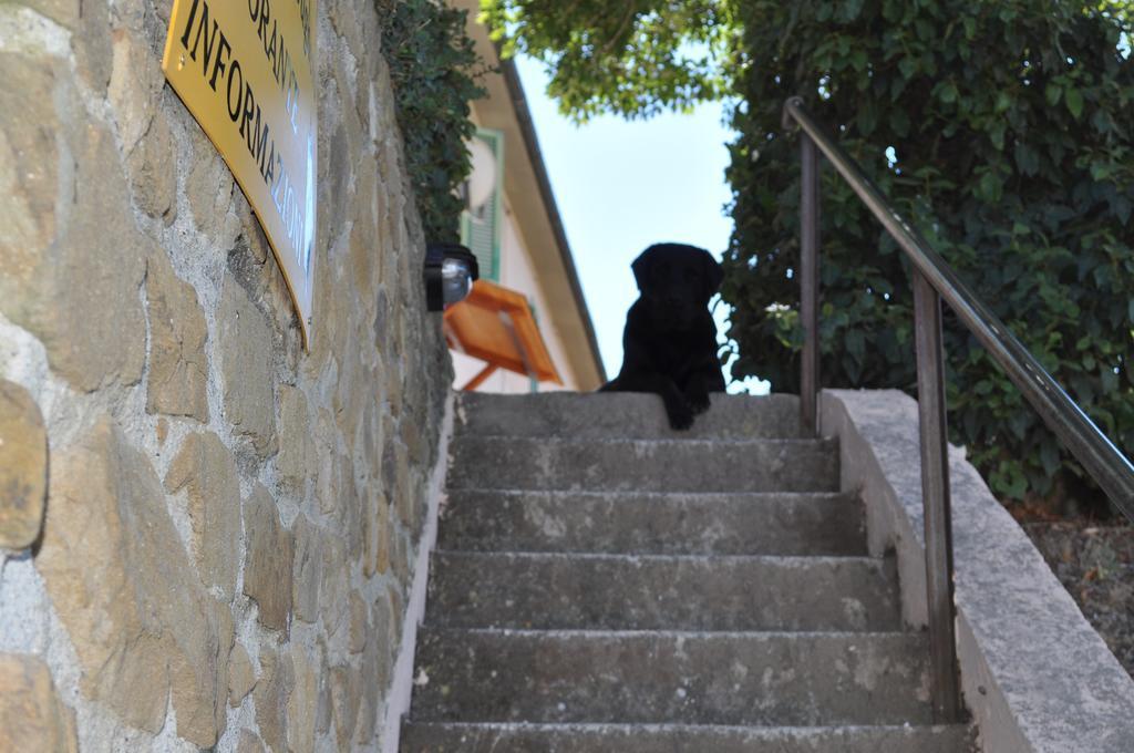 Agriturismo Il Cerrosughero Villa Scarlino Exterior foto