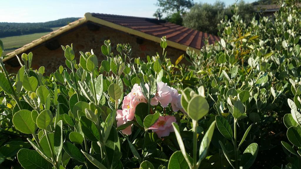 Agriturismo Il Cerrosughero Villa Scarlino Exterior foto